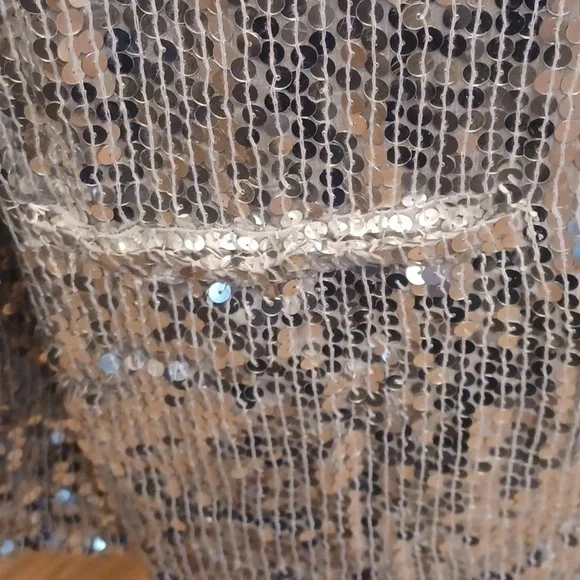 Silver Sequin Jacket - Picture 5 of 6